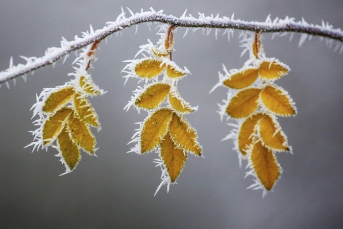 Ilustračný obrázok k článku Poriadne si zakúrte. Slovensko čaká mrazivá noc!