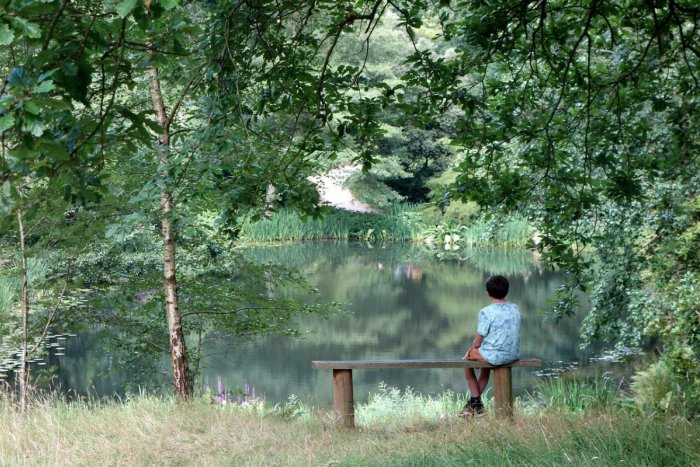 Ilustračný obrázok k článku Deti spolu s učiteľmi pripravili milé VIDEO, inšpiruje všetkých!