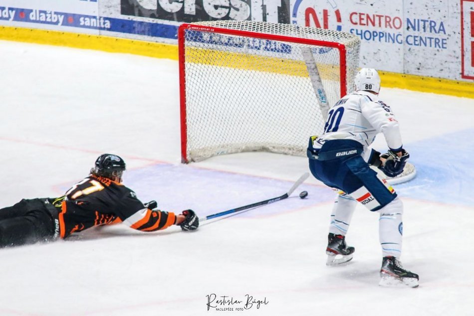 Ilustračný obrázok k článku Michalovské líšky sa stretli na ľade s popradskými kamzíkmi