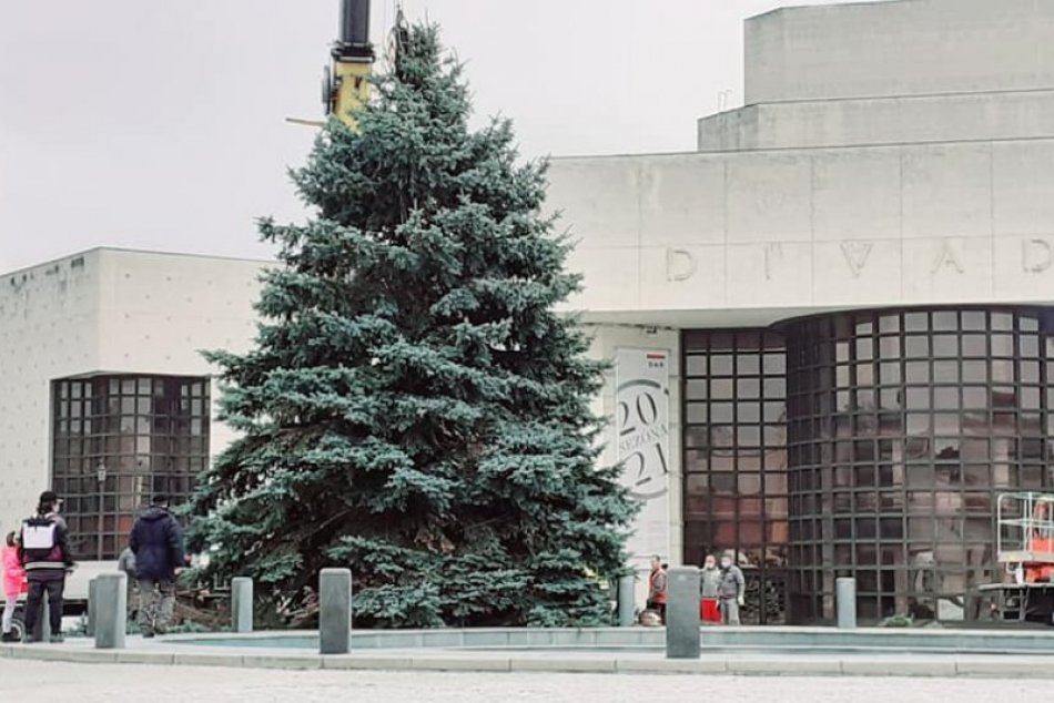 Ilustračný obrázok k článku To je krása! Námestie v Nitre už zdobí vianočný stromček, FOTO