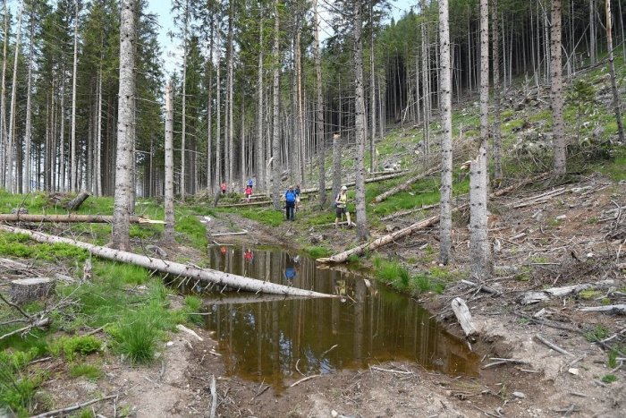 Ilustračný obrázok k článku Demänovská Dolina ako zo škatuľky: Obec chystá veľké upratovanie aj výsadbu