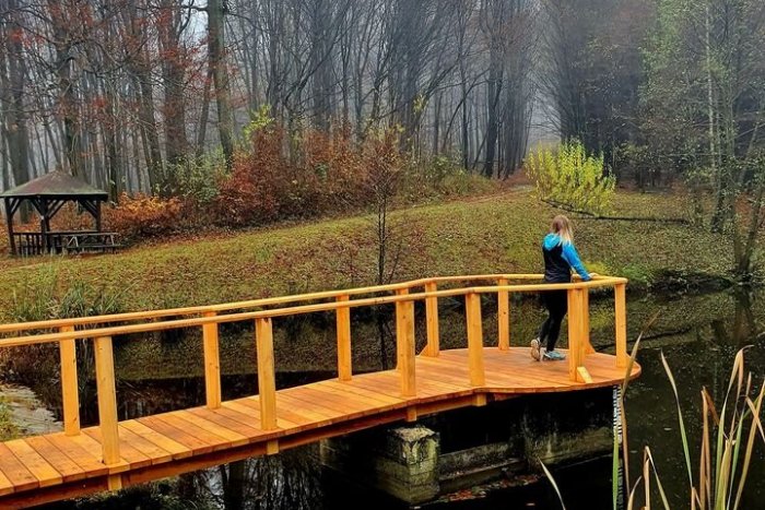 Ilustračný obrázok k článku Pozrite sa na tú nádheru: Starú opachu v lesoparku nahradilo drevené mólo