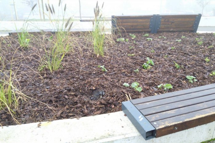 Ilustračný obrázok k článku Odporný čin vandalov: TOTO ľudí totálne rozhorčilo