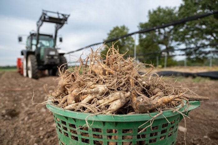 Ilustračný obrázok k článku Máte malú farmu alebo obrábate pôdu? Štát o tom "zháňa" unikátne informácie