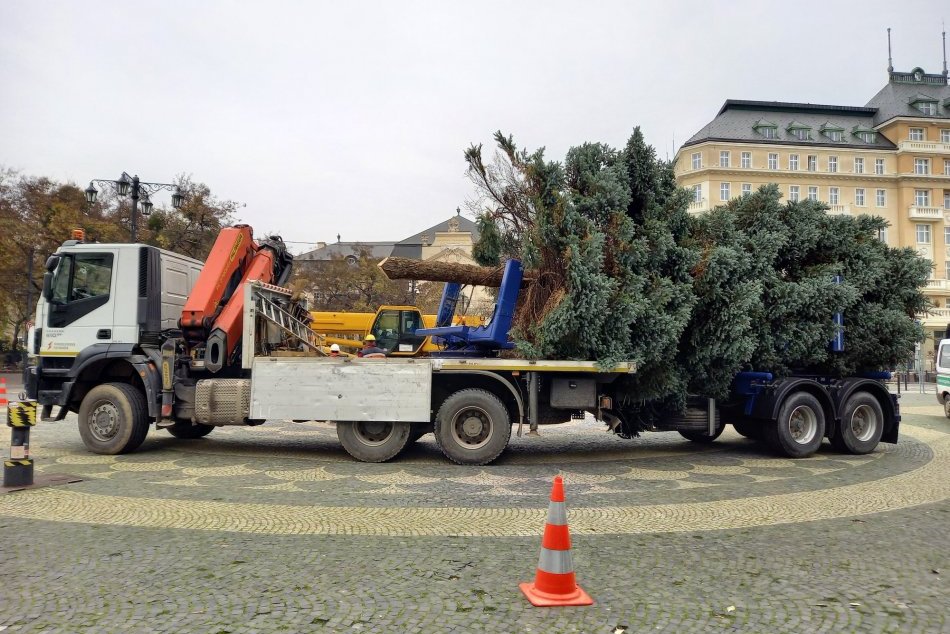 Ilustračný obrázok k článku Do centra mesta už dorazil vianočný stromček. Vieme, odkiaľ ho priviezli