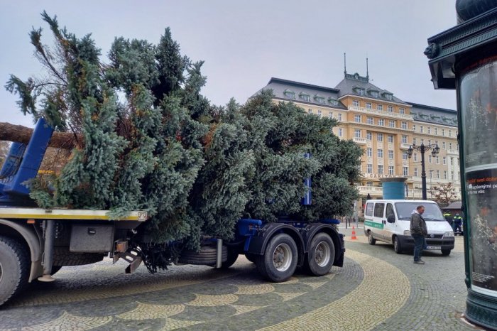 Ilustračný obrázok k článku Na Hviezdoslavovom námestí v Starom Meste osadia vianočný stromček