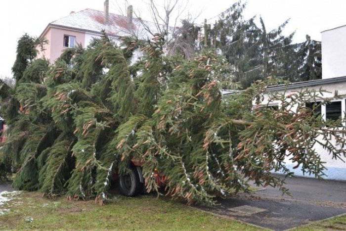 Ilustračný obrázok k článku Vianočný stromček už zdobí humenské námestie, FOTO