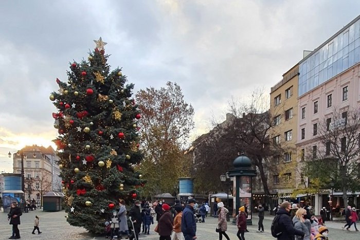 Ilustračný obrázok k článku Ako účes Marge Simpsonovej: Staromestský vianočný stromček je terčom vtipov