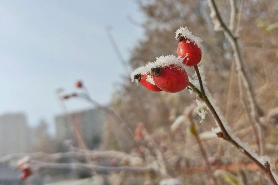Ilustračný obrázok k článku Čakajú nás prvé centimetre snehu? Meteorológovia vydali výstrahu pre okres Žilina