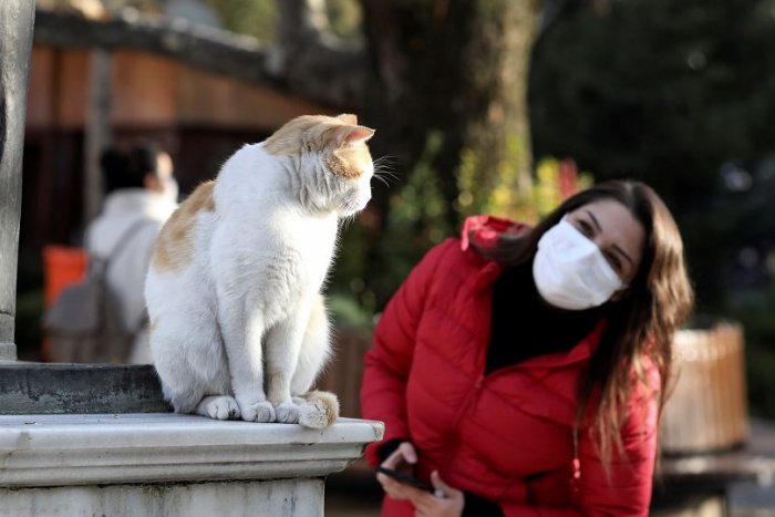 Ilustračný obrázok k článku Nové prípady COVID-19 v Žilinskom kraji: V troch okresoch nepribudol ani jediný