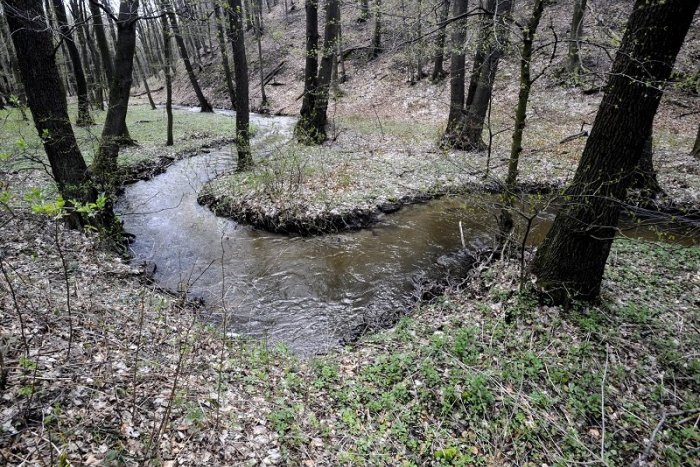 Ilustračný obrázok k článku Skvelá správa z lesoparku: Pramene Vydrice by sa mali stať prírodnou rezerváciou