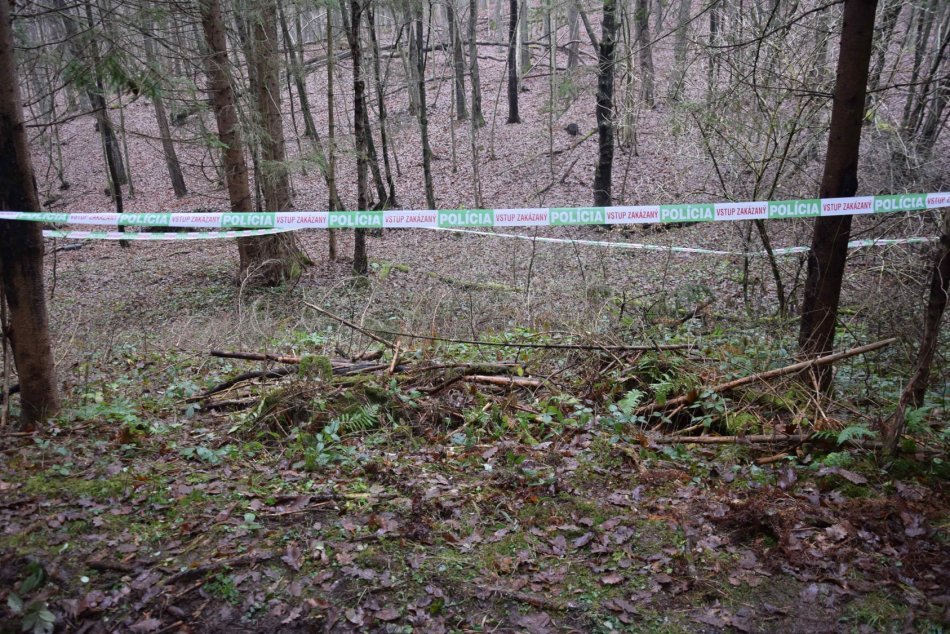 Ilustračný obrázok k článku V lese našli mŕtveho Bystričana. Šokujúce zistenie polície: Išlo o vraždu! FOTO