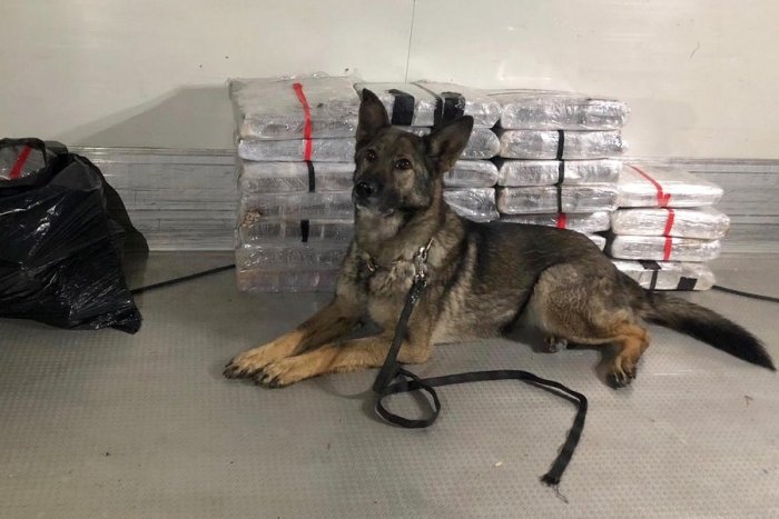 Ilustračný obrázok k článku Sľuboval jej smrť za upozornenie, aby si uviazal psa. Hrozí mu basa na tvrdo