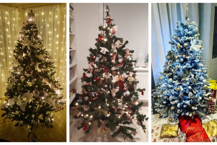 Ilustračný obrázok k článku Žiarčania, ktorý je najkrajší? Veľká GALÉRIA vianočných stromčekov našich čitateľov
