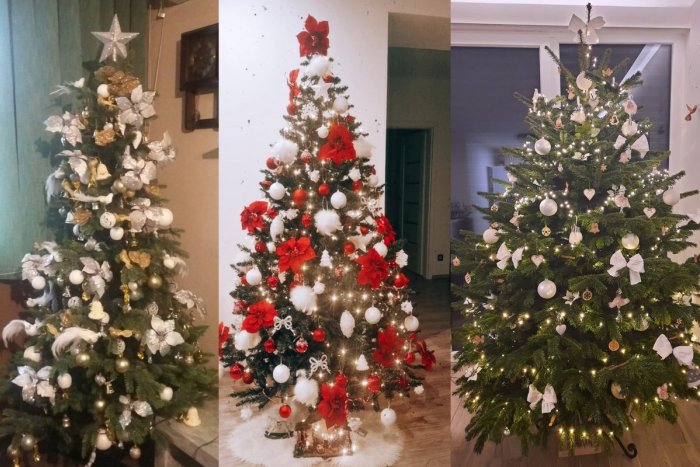 Ilustračný obrázok k článku Trenčania, to je nádhera! Veľká GALÉRIA vianočných stromčekov našich čitateľov