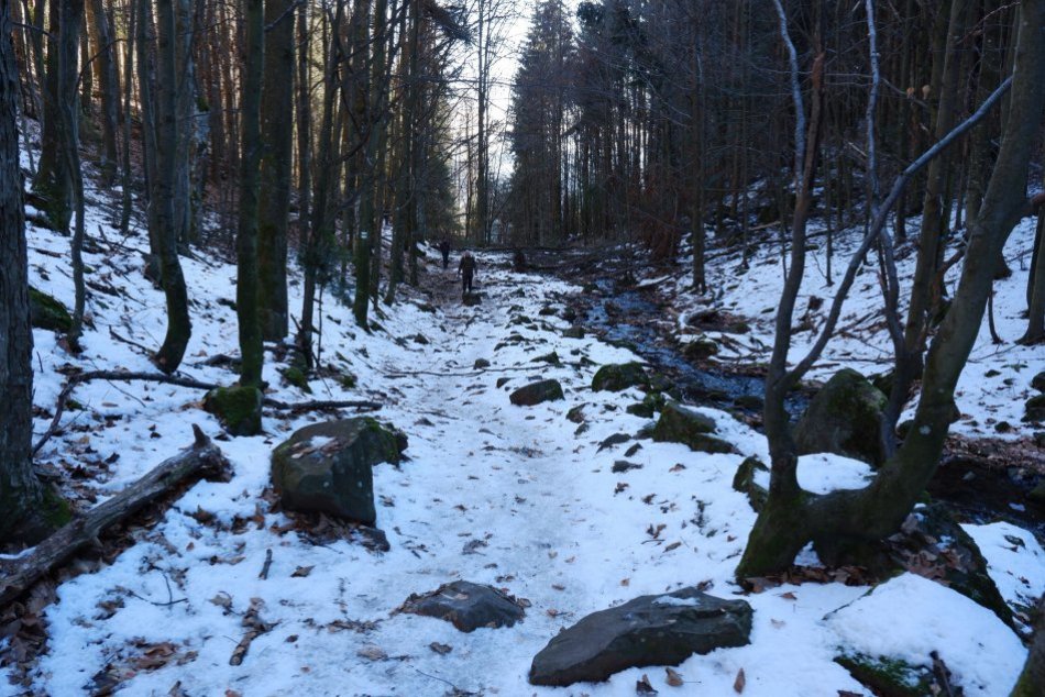 Ilustračný obrázok k článku Záver roka mnohí oslávili v prírode: Turisti sa vo veľkom vybrali na Poľanu