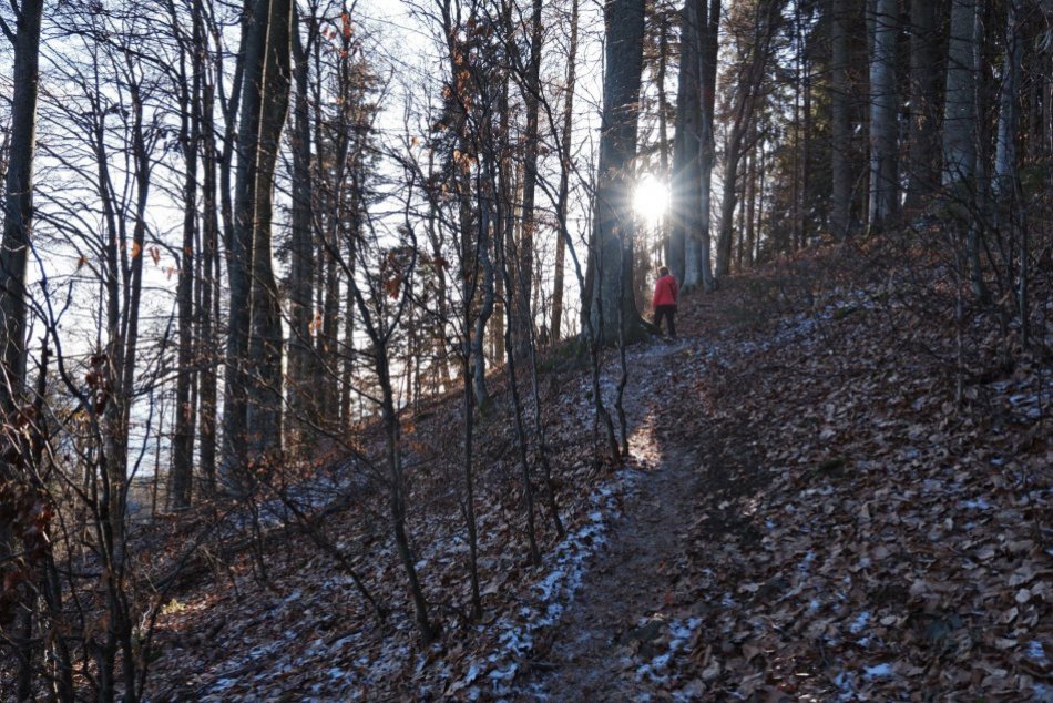 Ilustračný obrázok k článku Na Poľane sa pasujú s viacerými problémami: Dokážu ich zvrátiť ministerstvá?
