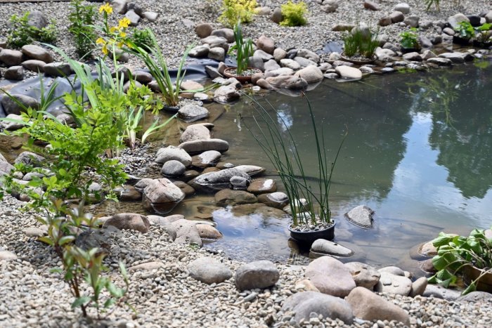 Ilustračný obrázok k článku Zelený koncoročný darček: Vajnory majú šancu získať pol milióna eur