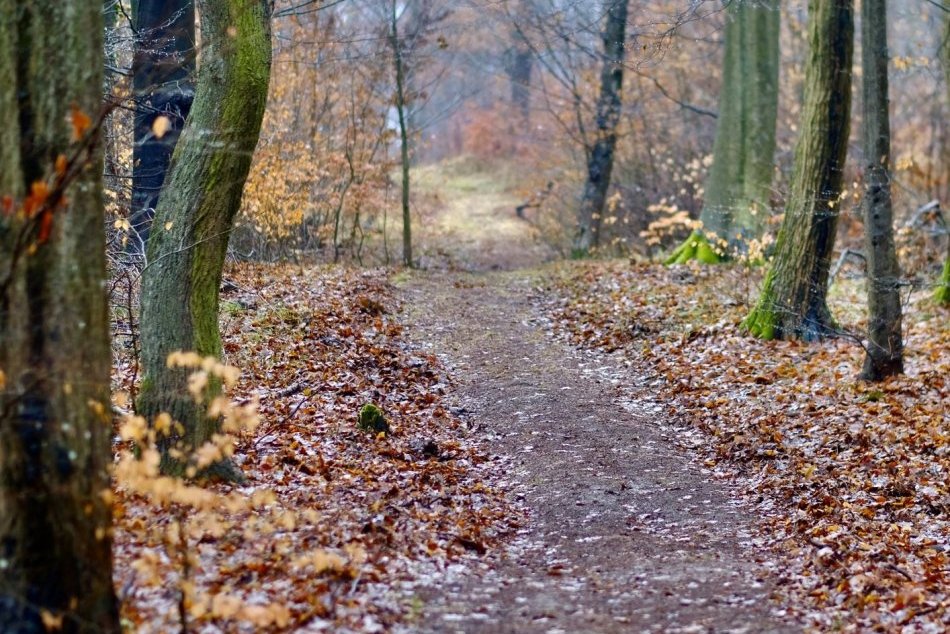 Ilustračný obrázok k článku Agresívny muž napáda ľudí medzi Karlovou Vsou a Dúbravkou. Polícia je v plnom nasadení