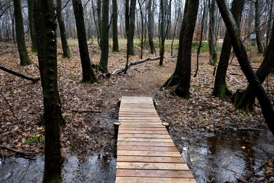 Ilustračný obrázok k článku TOP 5 tipov na výlet v okrese Bratislava: Vyvetrajte si hlavu a objavte krásy Malých Karpát