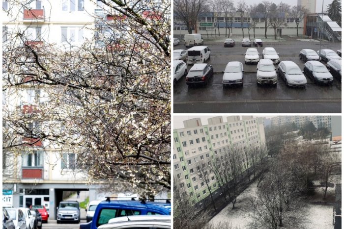 Ilustračný obrázok k článku Počasie si robí, čo chce! Pred pár dňami kvitli stromy, ráno snežilo, teraz prší!