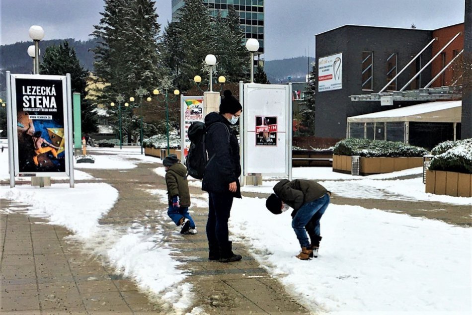 Ilustračný obrázok k článku Dobré zistenie pre Považskú Bystricu: V imúnnosti na COVID patríme medzi špičku