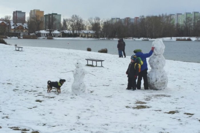 Ilustračný obrázok k článku FOTO: Snehuliaci ovládli Bratislavu. Podarilo sa vytvoriť bieleho fešáka aj vám?
