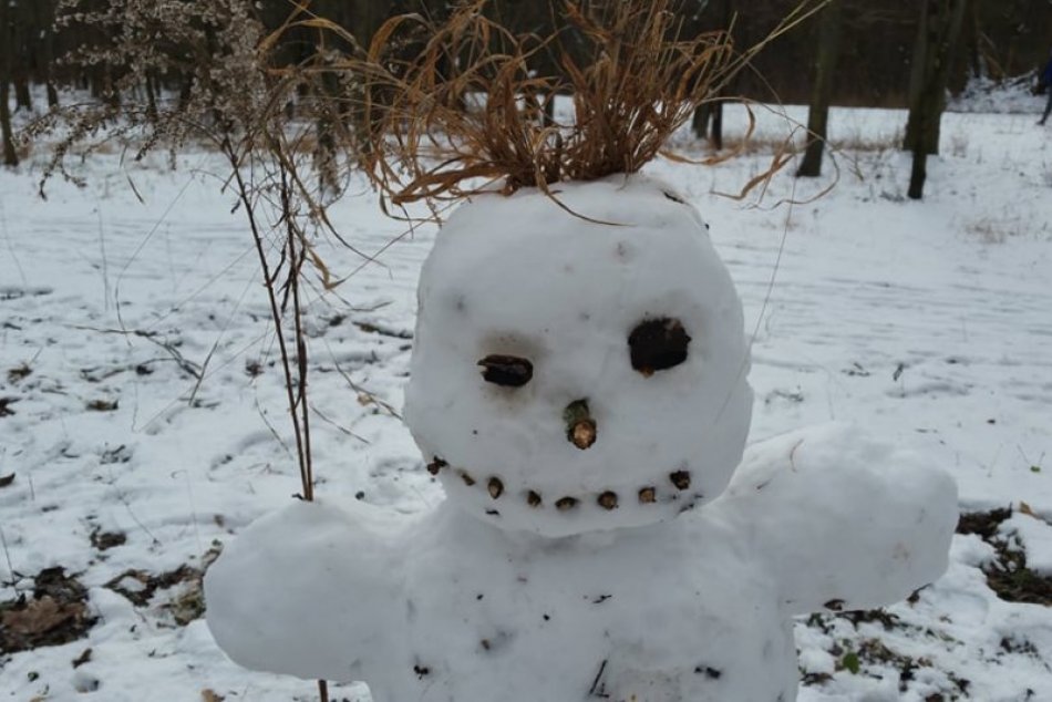 Ilustračný obrázok k článku Do Európy vtrhne zima a sneženie! Bude u nás Katarína na ľade či na blate? + PREDPOVEĎ