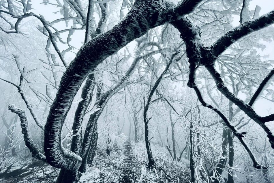 Ilustračný obrázok k článku Zapísal sa do histórie: V decembri 1879 namerali v Nitrianskom kraji takmer -30°C