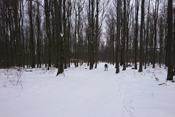 Ilustračný obrázok k článku Pezinská Baba zbelela prírodným snehom. Kto sa tam môže ísť lyžovať?