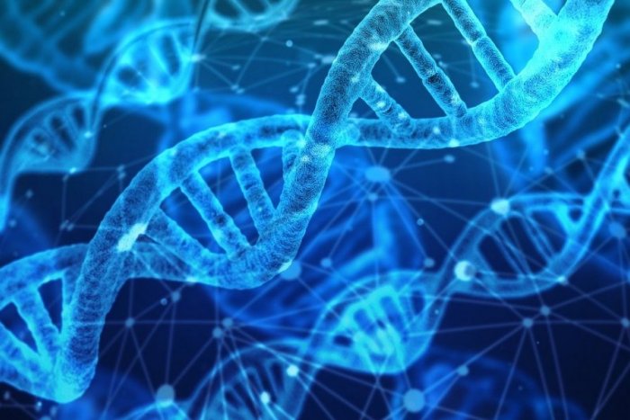 Ilustračný obrázok k článku Unikátny ročník o najlepšieho učiteľa Slovenska: Finalistom odobrali DNA, čo zistili?