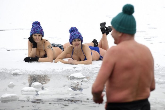 Ilustračný obrázok k článku Mrazivé radovánky: Ako sa stať ľadovým medveďom a kde v Bratislave si to poriadne užijete?