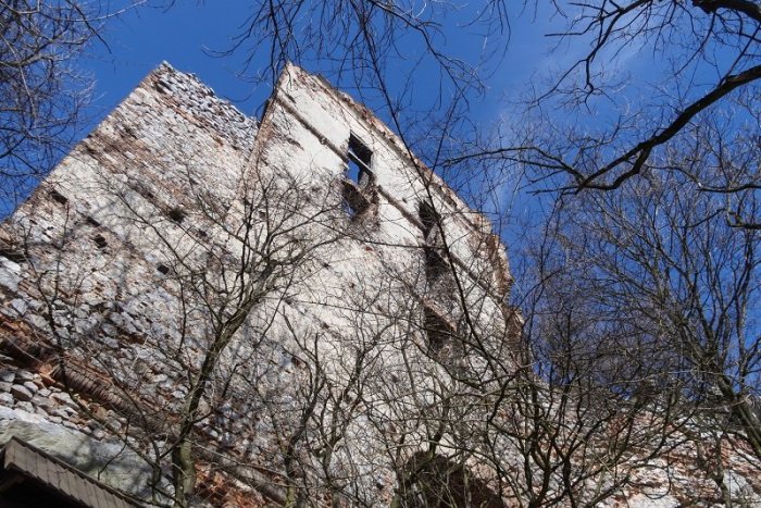 Ilustračný obrázok k článku Potrebujete čerstvý vzduch? Toto sú krásne miesta v prírode kúsok od Bratislavy