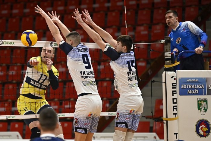 Ilustračný obrázok k článku Prievidzskí kohúti prišli o veľké opory: Sťahujú sa južným smerom