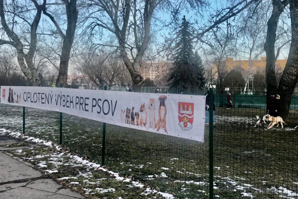 Ilustračný obrázok k článku V atraktívnej lokalite Bratislavy sa psíci môžu vyšantiť v novom výbehu