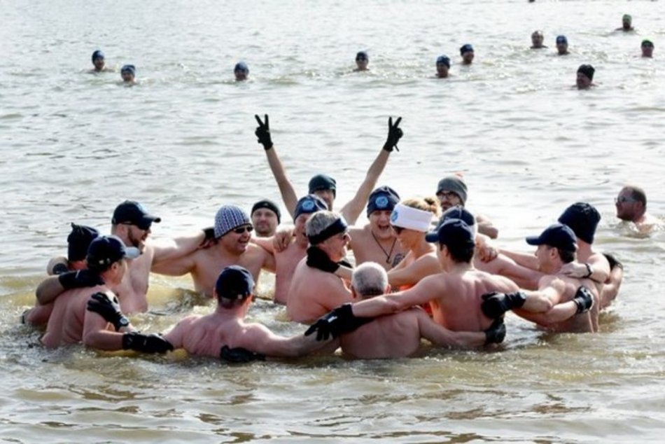 Ilustračný obrázok k článku Košické tulene, ľadové labute, šíravské bobry. Kde ich môžete stretnúť? FOTO