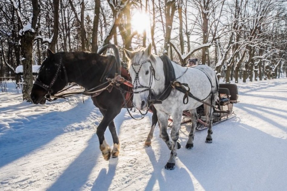 Ilustračný obrázok k článku Objavujte zasneženú krajinu ako z rozprávky z konského chrbta alebo zo saní, FOTO