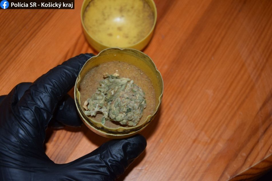 Ilustračný obrázok k článku Drogová trestná činnosť na Zemplíne: Domová prehliadka odhalila návykové látky