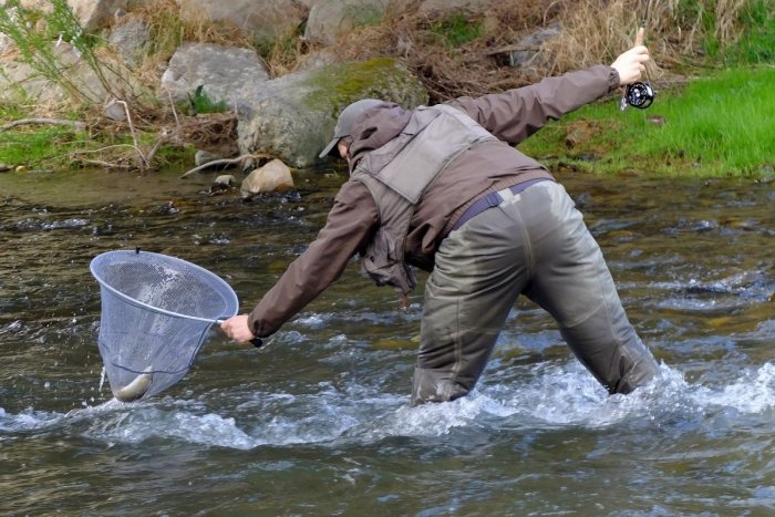 Ilustračný obrázok k článku Rybári si PRIPLATIA! Povolenia budú drahšie, niektoré aj o polovicu