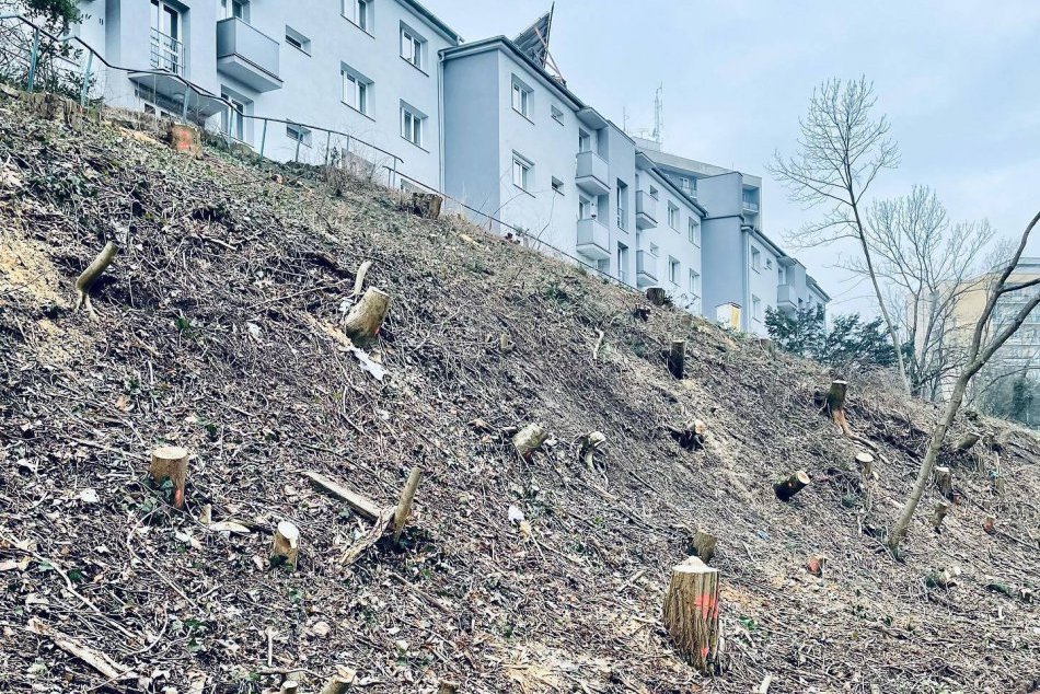 Ilustračný obrázok k článku Na Drotárskej ceste sa možno stavať nebude. Mohol by tam vzniknúť park