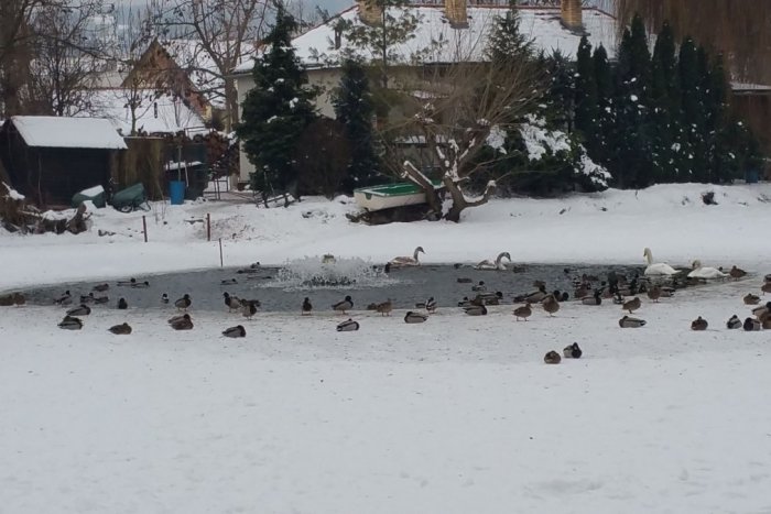 Ilustračný obrázok k článku Dobrá správa pred víkendom: Týka sa lučeneckého parku a pohrebiska