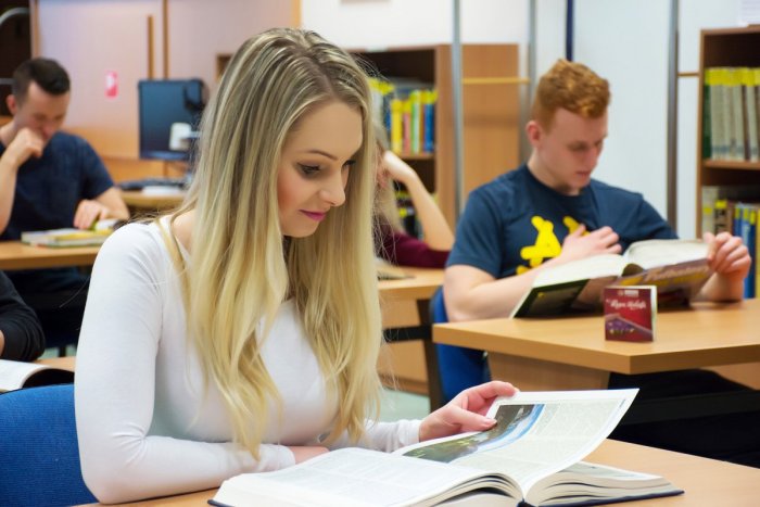 Ilustračný obrázok k článku Lahôdka pre KNIHOMOĽOV: V Bystrici okúsia prácu KNIHOVNÍKA a čaká ich aj TAJNÝ balíček