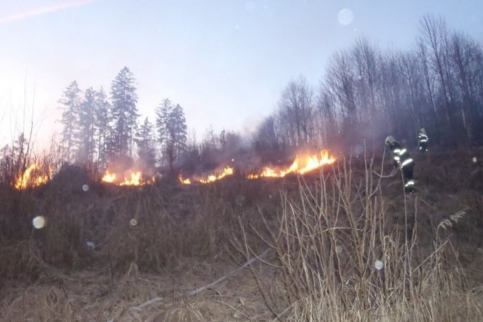 Ilustračný obrázok k článku Rúbanisko v plameňoch: Hasiči v nasadení na rozľahlej časti lesa