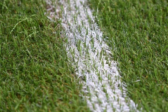 Ilustračný obrázok k článku Nový trávnik pre ihrisko na Podbrezinách: Poslanci odklepli žiadosť o dotáciu