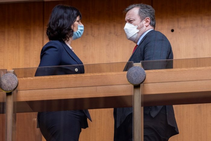 Ilustračný obrázok k článku Remišová a Krajniak: Pád vlády odvrátia predčasné voľby alebo odchod Matoviča so Sulíkom!