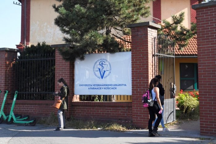Ilustračný obrázok k článku Kuriózna situácia! Prijímačky na veterine museli náhle zrušiť