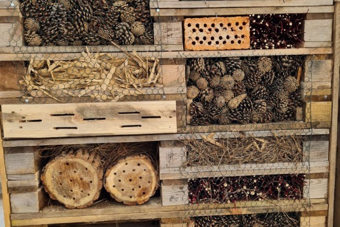 Ilustračný obrázok k článku Aj hmyz má svoje hotely. Kde ich v Košiciach nájdete? FOTO