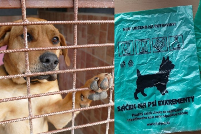 Ilustračný obrázok k článku Mesto pravidelne dopĺňa vrecká pre psičkárov: Niektorí si domov berú celé balíky!