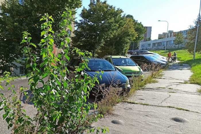 Ilustračný obrázok k článku Mestská polícia sa činila: Z ulíc sa jej podarilo dostať takmer 200 autovrakov