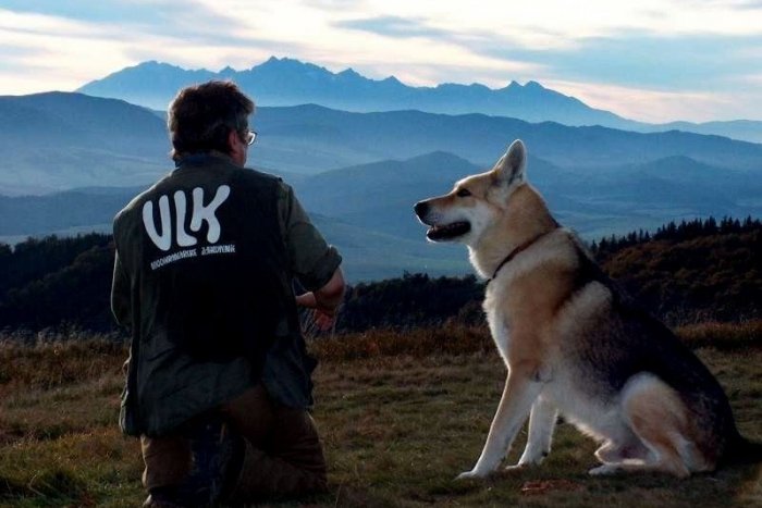 Ilustračný obrázok k článku Záchrana prirodzených lesov je náročná. Vďaka ľuďom ako Viliam zostávajú hrdo stáť